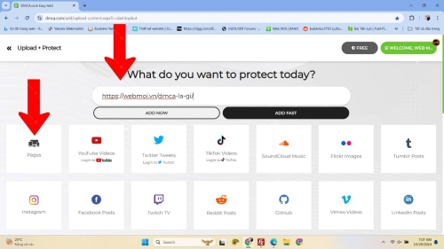 Nhập url và nhấn Add Now