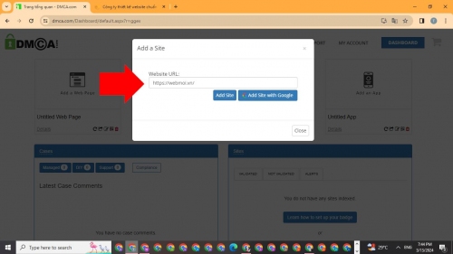 Nhập url vào DMCA