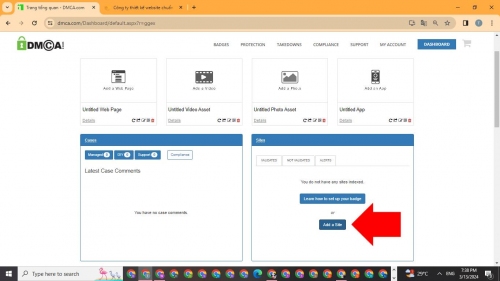 Thêm tên miền vào DMCA