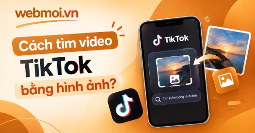 Cách tìm video TikTok bằng hình ảnh?