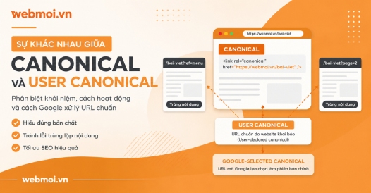 Sự khác nhau giữa Canonical và User Canonical