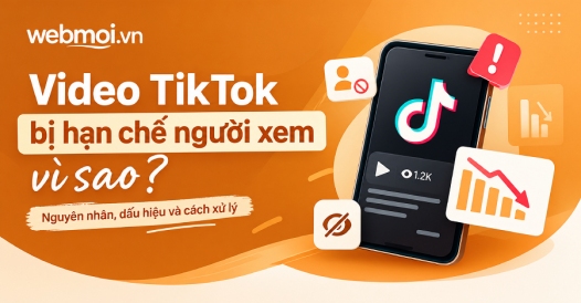 Video TikTok bị hạn chế người xem vì sao?