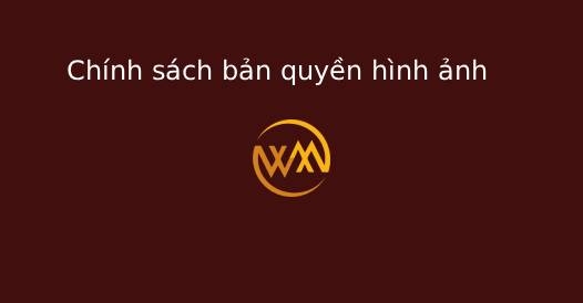 Chính sách bản quyền hình ảnh