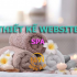 Thiết kế website Spa, Thẩm Mỹ Viện