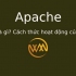 Apache là gì? Cách thức hoạt động của Apache