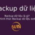 Backup dữ liệu là gì? Các hình thức Backup dữ liệu website