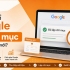 Bao lâu để Google lập chỉ mục cho website mới?