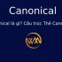 Canonical là gì? Cấu trúc Thẻ Canonical
