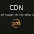 CDN là gì? Nguyên tắc hoạt động của CDN