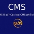 CMS là gì? Các loại CMS phổ biến