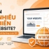 Có Nên Gắn Nhiều Tên Miền Cho Website?