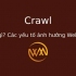 Crawl là gì? Các yếu tố ảnh hưởng Web Crawler