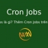 Cron Jobs là gì? Thêm Cron Jobs trên hosting