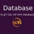 Database là gì? Các mô hình Database phổ biến