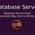 Database Server là gì? Thành phần Máy Chủ Cơ Sở Dữ Liệu