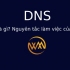 DNS là gì? Nguyên tắc làm việc của DNS