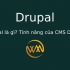 Drupal là gì? Tính năng của CMS Drupal