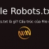 File Robots.txt là gì? Cấu trúc của File robots.txt