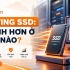 Hosting SSD: Nhanh hơn ở điểm nào?