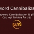 Keyword Cannibalization là gì? Các loại Từ khóa Ăn thịt