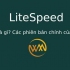 LiteSpeed là gì? Các phiên bản chính của LiteSpeed