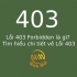 Lỗi 403 Forbidden là gì? Cách khắc phục Lỗi 403