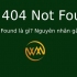 Lỗi 404 Not Found là gì? Nguyên nhân gây ra lỗi 404