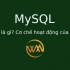 MySQL là gì? Cơ chế hoạt động của MySQL