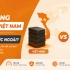 Nên dùng Hosting Việt Nam hay Hosting nước ngoài?