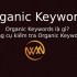 Organic Keywords là gì? Công cụ kiểm tra Organic Keywords