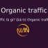 Organic traffic là gì? Giá trị Organic traffic mang lại