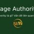 Page Authority là gì? Vấn đề liên quan chỉ số PA