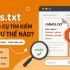 Robots.txt chặn công cụ tìm kiếm index như thế nào?