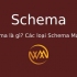 Schema là gì? Các loại Schema Markup