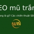SEO mũ trắng là gì? Các chiến thuật SEO mũ trắng