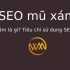SEO mũ xám là gì? Tiêu chí sử dụng SEO mũ xám