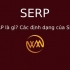 SERP là gì? Các định dạng của SERP