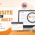 Tại sao website không được google index?