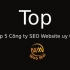 Top 5 Công ty SEO Website uy tín