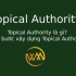 Topical Authority là gì? Các bước xây dựng Topical Authority