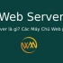 Web Server là gì? Các Máy Chủ Web phổ biến