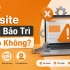 Website Không Bảo Trì Có Sao Không?