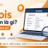 Whois tên miền là gì và dùng để làm gì?
