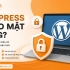 WordPress Có Bảo Mật Không?