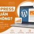 WordPress có chuẩn SEO không?