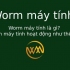 Worm máy tính là gì? Worm máy tính hoạt động như thế nào