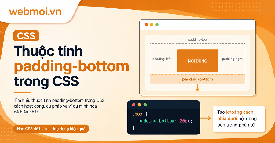 Thuộc tính padding-bottom trong CSS